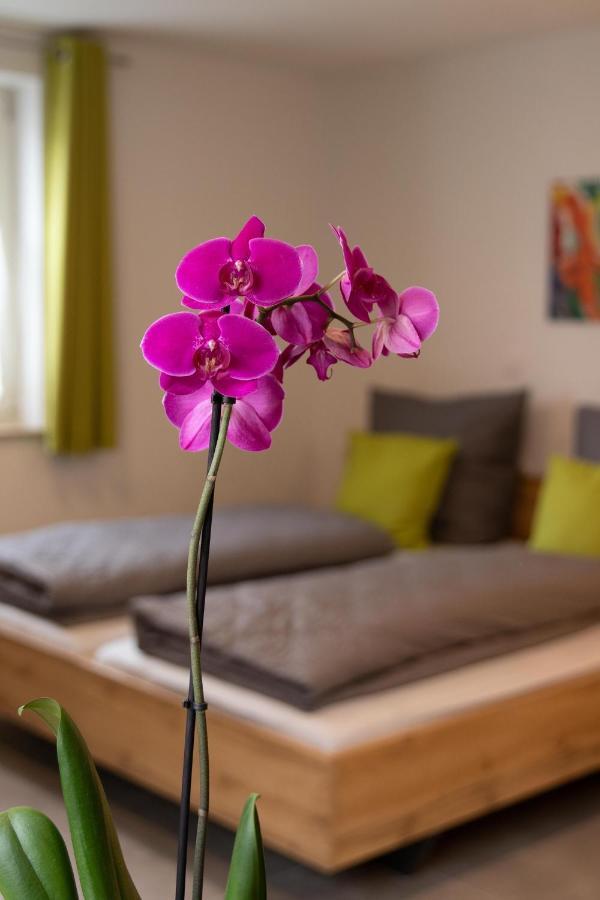 Apartment Alte Raiffeisenkasse Rothenburg Ob Der Tauber Bagian luar foto